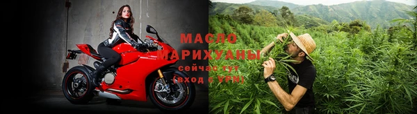 крисы Кодинск