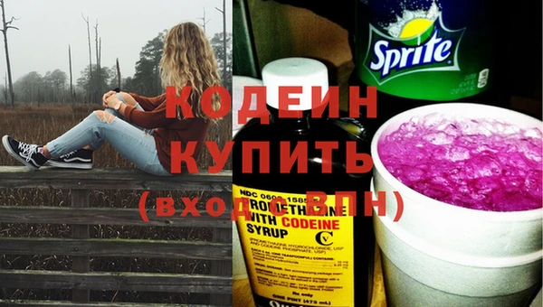 крисы Кодинск