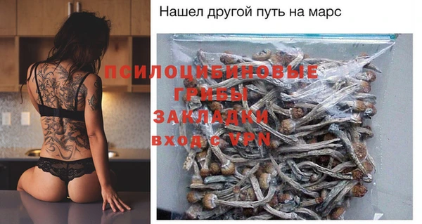 амф Костерёво