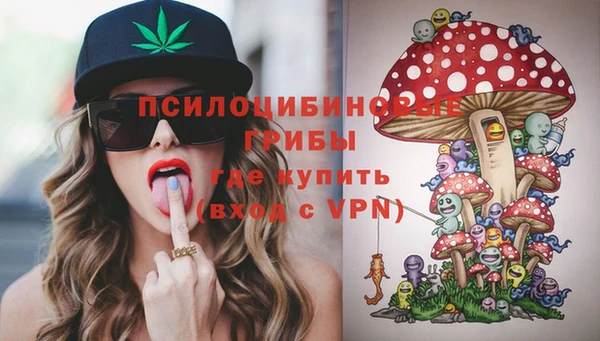 крисы Кодинск