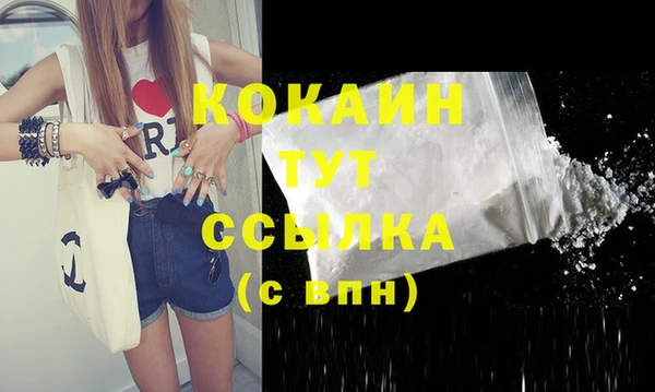 крисы Кодинск