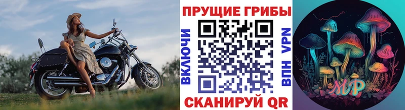 Купить где  Белоусово  Псилоцибиновые грибы GOLDEN TEACHER 